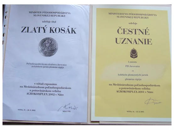Zlatá kosák - čestné uznanie Zlatá kosák - čestné uznanie
